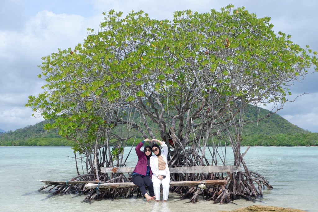 Pasir Timbul Pahawang, Padang Savana di Pulau Terindah yang ada di Lampung